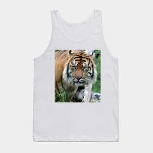 Sumatran Tiger 2 Tank Top